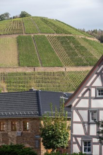 Vineyard terraces in the Ahr valley