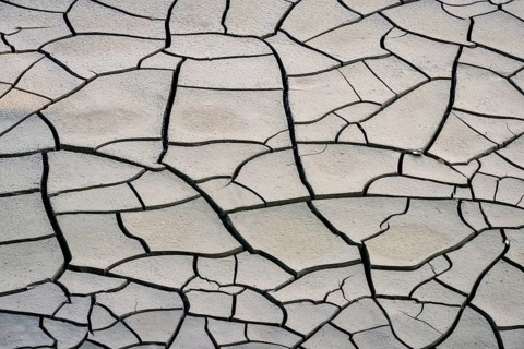 Cracked soil in Summer