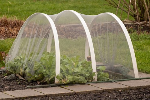 Insect netting protecting young plants growing in a garden bed