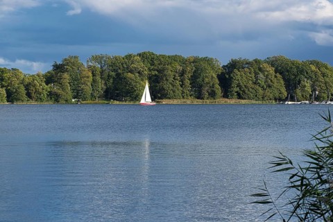 View over the Scharmützelsee with a sailing boat, Bad Saarow, Brandenburg, Germany, Europe