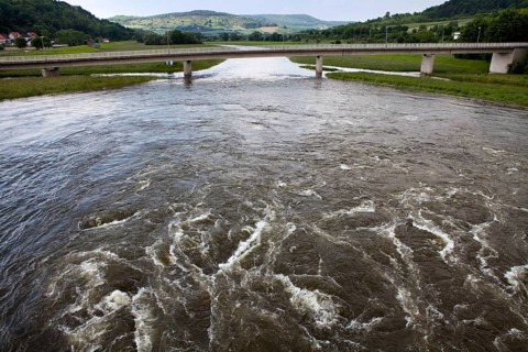Flooded flood-retention basin of the Leine river, Salzderhelden, Einbeck, Lower Saxony, Germany,