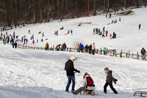 Winter sports Friedrichsbrunn Harz