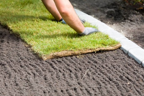 Laying turf