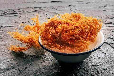 Irish sea moss, Chondrus Crispus, healthy organic raw seaweed, dried, in a bowl on a black slate