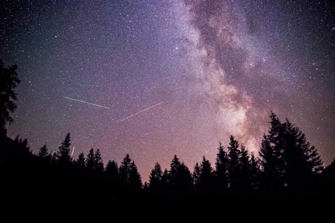 Milky way clear at night, silhouettes of trees