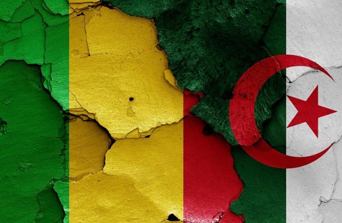 Flags of Mali and Algeria painted on cracked wall