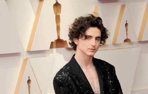Timothée Chalamet at the 94th Annual Academy Awards held at the Dolby Theatre in Los Angeles, USA