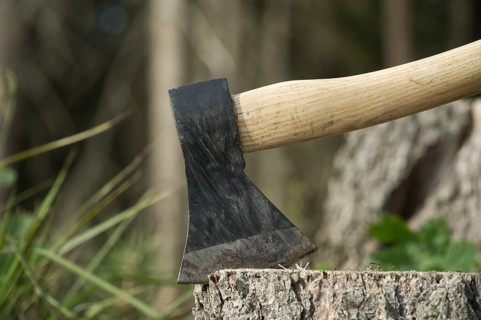 An ax or hatchet stuck in a tree stump in the background of a felled forest. Nature protection,
