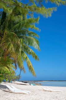 Coconut palm (Cocos nucifera), sunbeds, boats, Tikehau, atoll, Tuamotu archipelago, Tuherahera,