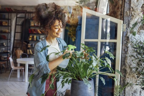 Happy plant lady. Young Afro American woman plant lover taking care of houseplant. Girl watering a
