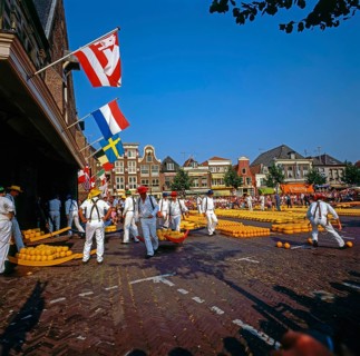 Cheese Market in Alkmaar, Netherlands