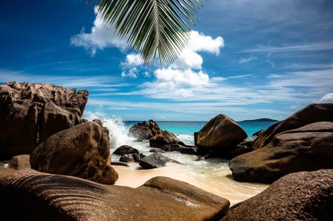 Tropical beach scenery with rocks and palm leaves, sky and sea meet on the horizon, La Digue,