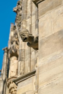 Sandstone gargoyle on the medieval façade of Magdeburg's Gothic cathedral