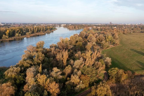 View over an autumnal river landscape with extensive forests, Elbe, Mageburg Cathedral on the