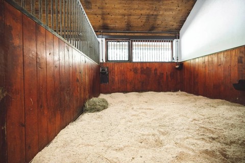 Empty stable, no horses inside the stables. Clean and empty horse boxes with fresh hay at the ranch