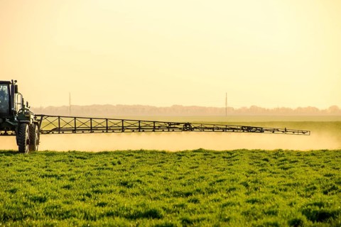 Tractor sprays fertilizer on wheat field