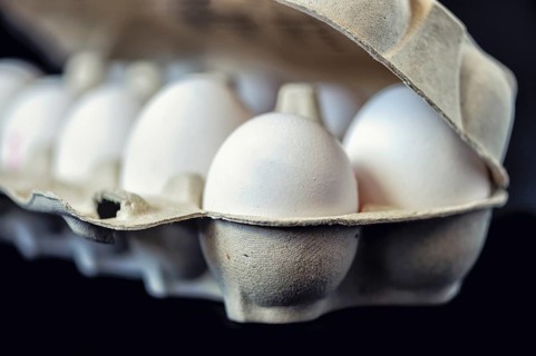 10 chicken eggs in a transport carton against a black background