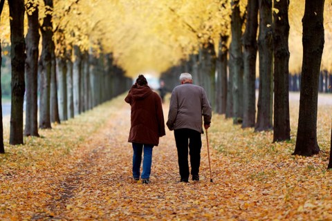 Two people on an autumn walk, Hanover-Herrenhausen, Lower Saxony