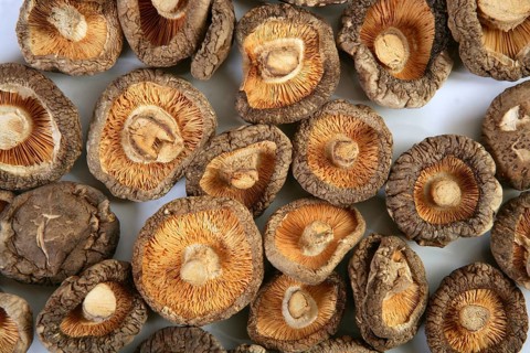 Shiitake dried mushroom vegetarian food