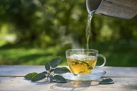 Pouring hot water in a glass cup with sage leaves, healthy herbal tea and home remedy for coughs,