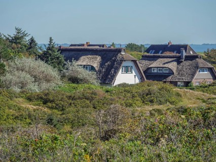 Thatched houses embedded in green vegetation in sunny weather, langeoog, germany