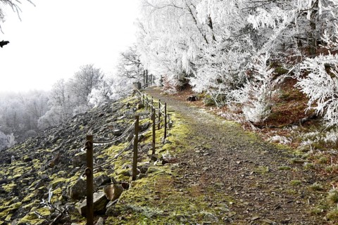 Hiking trail along the Mörschieder Burr in the Hunsrück-Hochwald National Park with hoarfrost and
