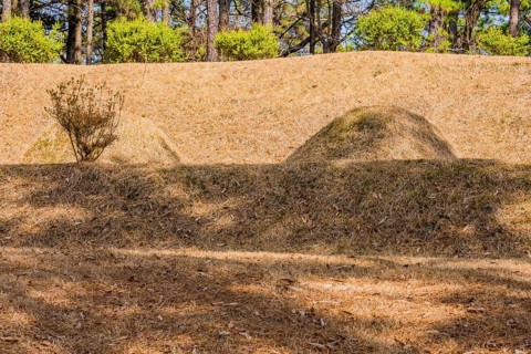 Two burial mounds in a wooded area with small green bushes in background bathed in sunlight, South