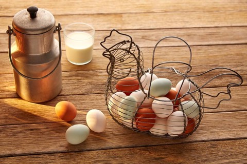 Eggs and milk in a vintage hen shape basket on wood with blue easter white and brown