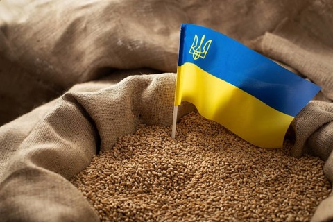 Burlap sack with wheat grains and Ukrainian flag concept