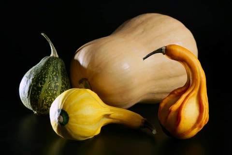 Varied colorful pumpkin still over black background