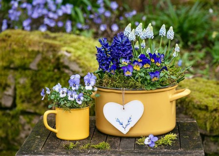 Spring flower arrangement with colourful pansies, hyacinths and grape hyacinths in yellow enamel