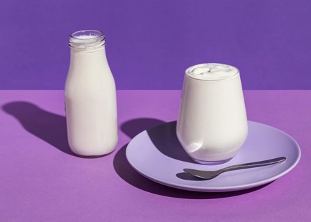 Delicious yogurt concept plate