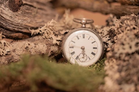 Time, clock, summer time, winter time, alarm clock, sylvester