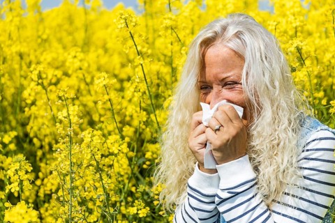 Woman suffers from allergy in a rape field and has to sneeze