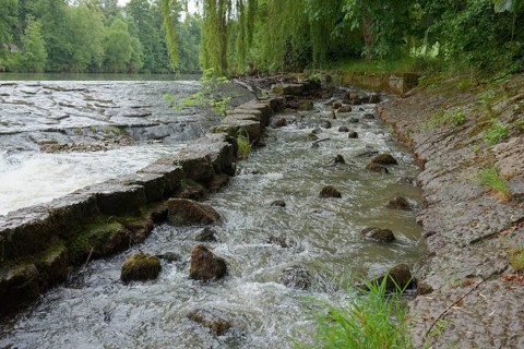Fish ladder on the Kocher in Künzelsau, Kocher Valley, Hohenlohe, Heilbronn-Franken,