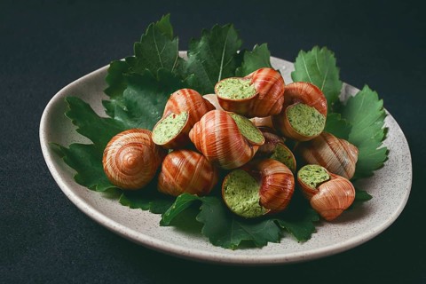 Grape snails, stuffed in burgundy, french cuisine