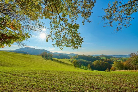 Sunlit hills with green landscapes and trees under a clear sky, Vöckelsbach, Mörlenbach,