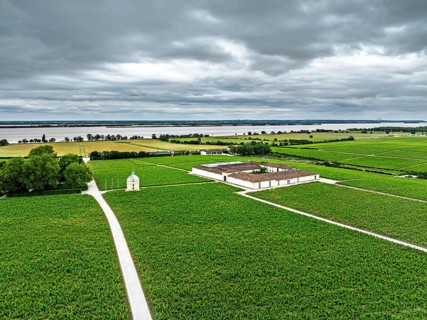 Chateau Latour Vineyard and grape fields around Pauillac from a drone, Bordeaux, Gironde,