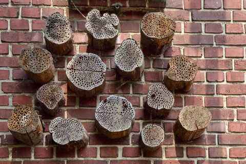Insect hotel... Transformer house Mönchengladbach (Hilderath), holes drilled in wooden discs
