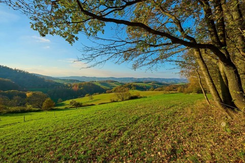 Green hills and meadows stretch out under a blue sky, framed by trees and distant mountains,