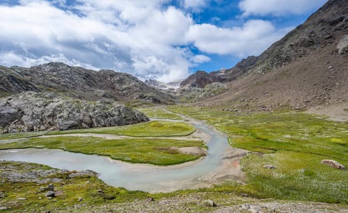 Mountain stream meanders through high mountain landscape on the Upper Senner Egete between meadows