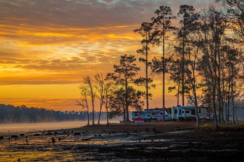 Stumps protrude from low water in Geiger Lake at sunrise in Paul B. Johnson State Park near