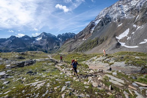 Two mountaineers on a hiking trail through a sunny mountain landscape, ascent to the