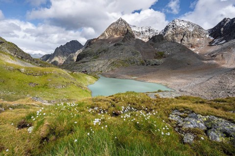 Mountain landscape with flowering cotton grass. View of the turquoise-blue mountain lake Großer