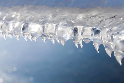 Fangs... Ice formations (winter flood 2020, 2021) formed by wind and water on a fence wire after