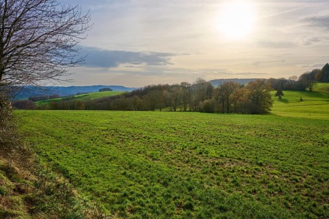 Landscape with green fields, hills and sunlight, Winterkasten, Lindenfels, Bergstrasse district,