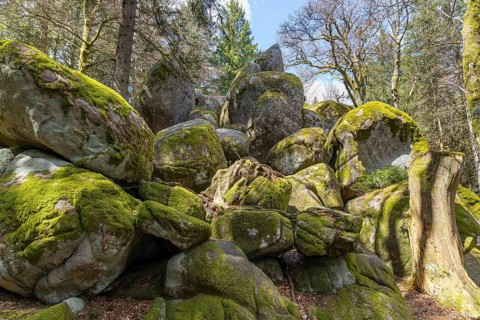 Granite rock Günterfelsen near the source of the Danube, Furtwangen in the Black Forest,