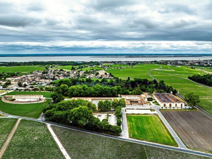 Chateau d'Armailhac Vineyard and grape fields around Pauillac and Gironde Estuary from a drone,