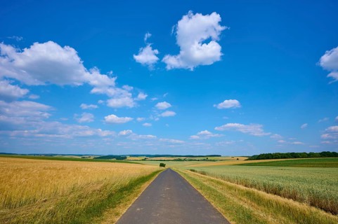 Country road between golden wheat fields, blue sky with white clouds, summer, Thüngen, Main