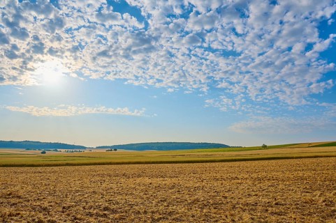 Wide fields under a blue cloudy sky, soft sunlight, summer, Höhefeld, Wertheim, Baden-Württemberg,
